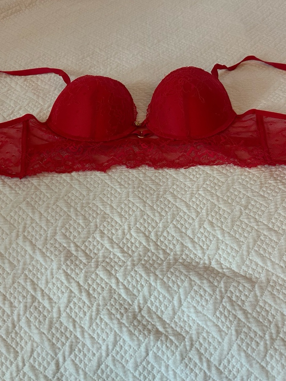 Daisy Fuentes Red Lace Longline Push-Up Bra